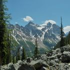 Blick vom Lake Agnes Trail