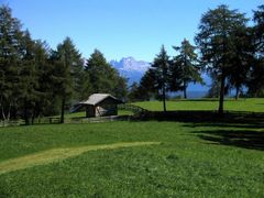 Blick vom Langfenn auf den Rosengarten