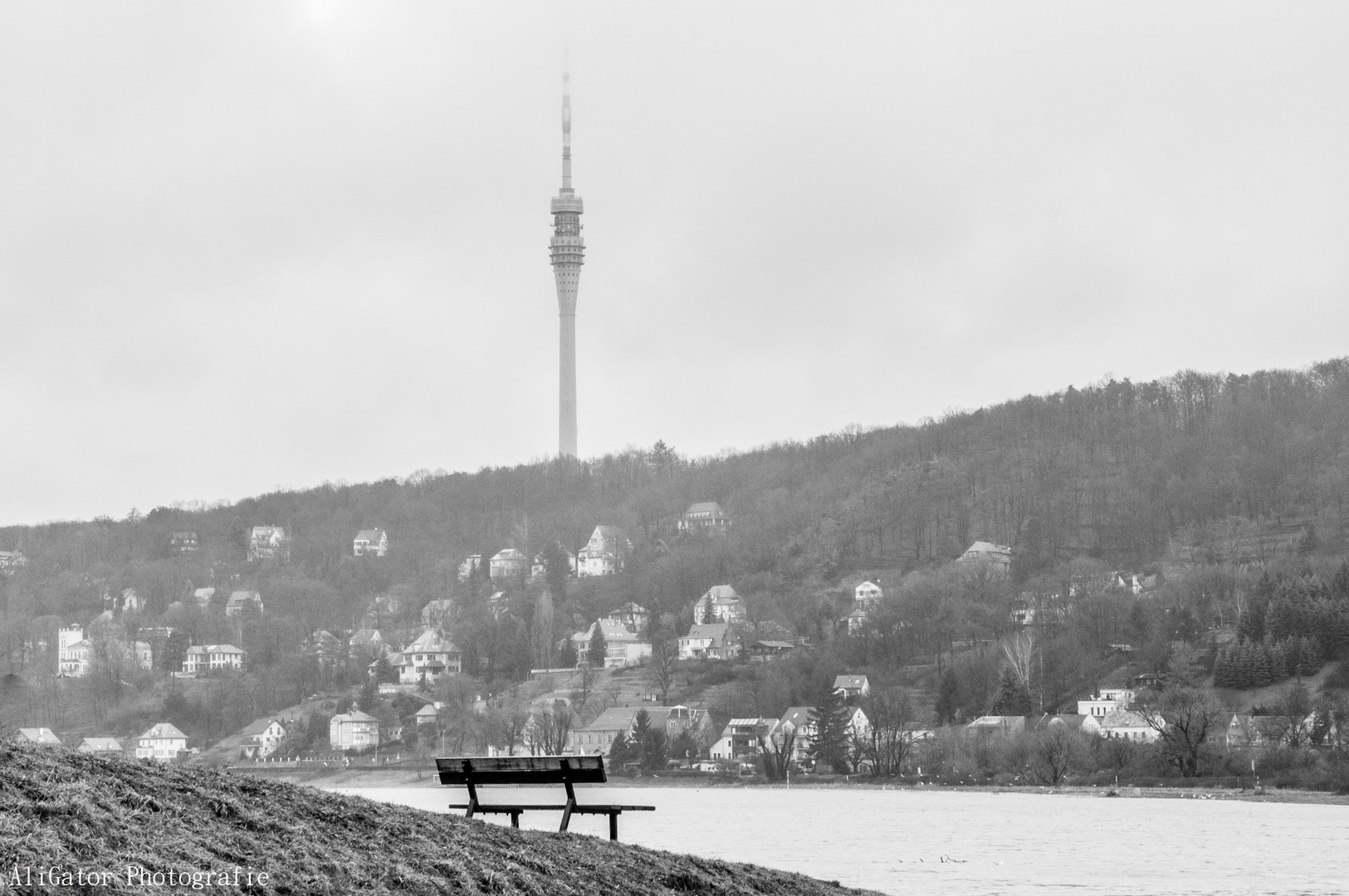 Blick vom Laubegaster Ufer