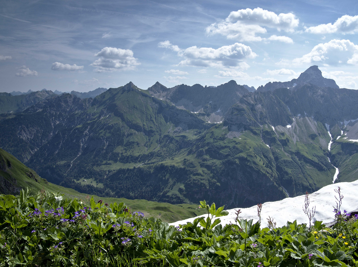 Blick vom Laufbachereck