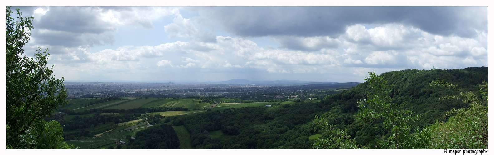 Blick vom Leopoldsberg auf Wien