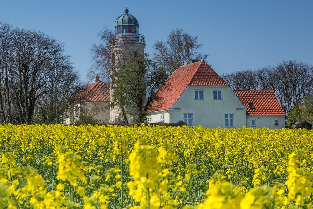 Blick vom Leuchtturm auf Kegnæs #52152