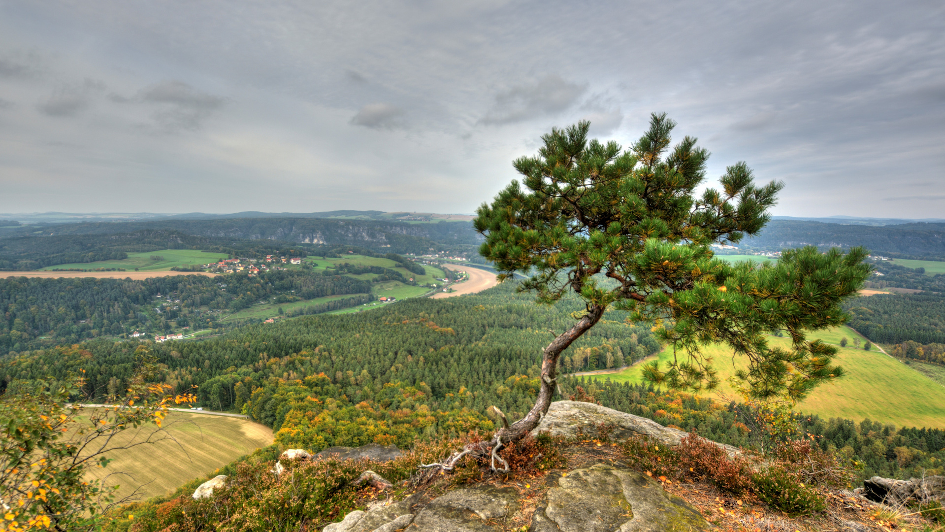 Blick vom Lilienstein