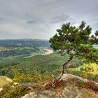 Blick vom Lilienstein