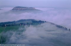 Blick vom Lilienstein am Morgen