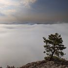 Blick vom Lilienstein aus auf das Wolkenmeer 