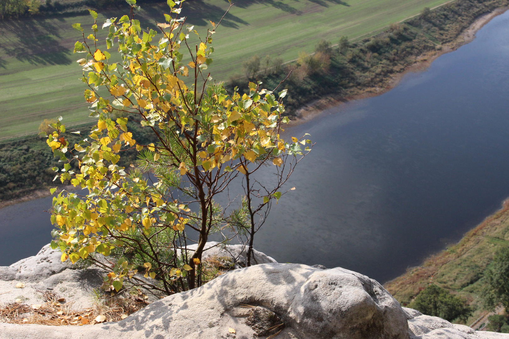 Blick vom Lilienstein ins Elbtal