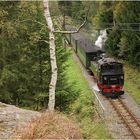 Blick vom Loreleifelsen