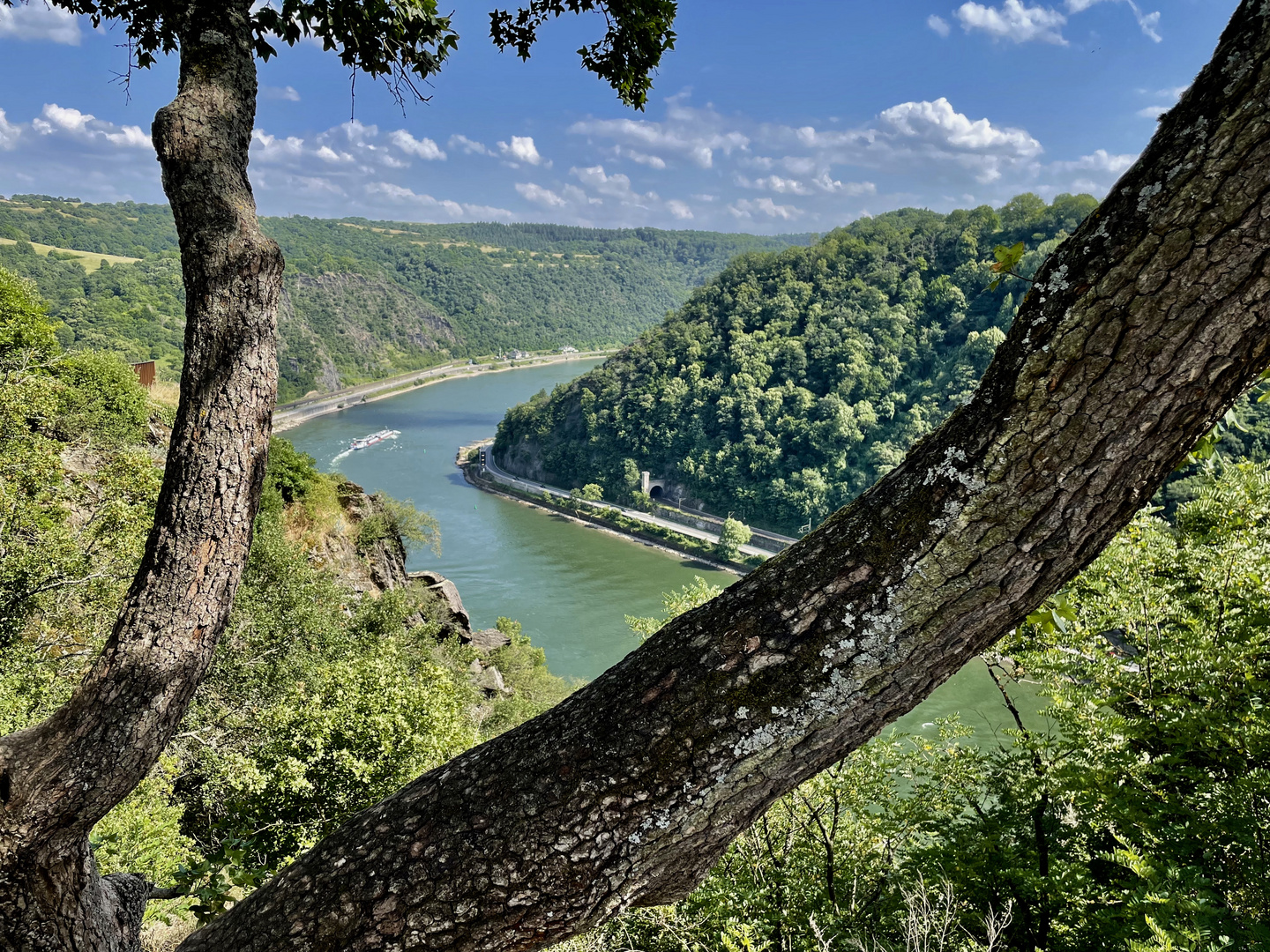 Blick vom Loreley-Felsen auf den Rhein