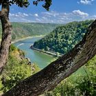 Blick vom Loreley-Felsen auf den Rhein