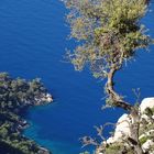 Blick vom Lykischen Weg aufs Meer