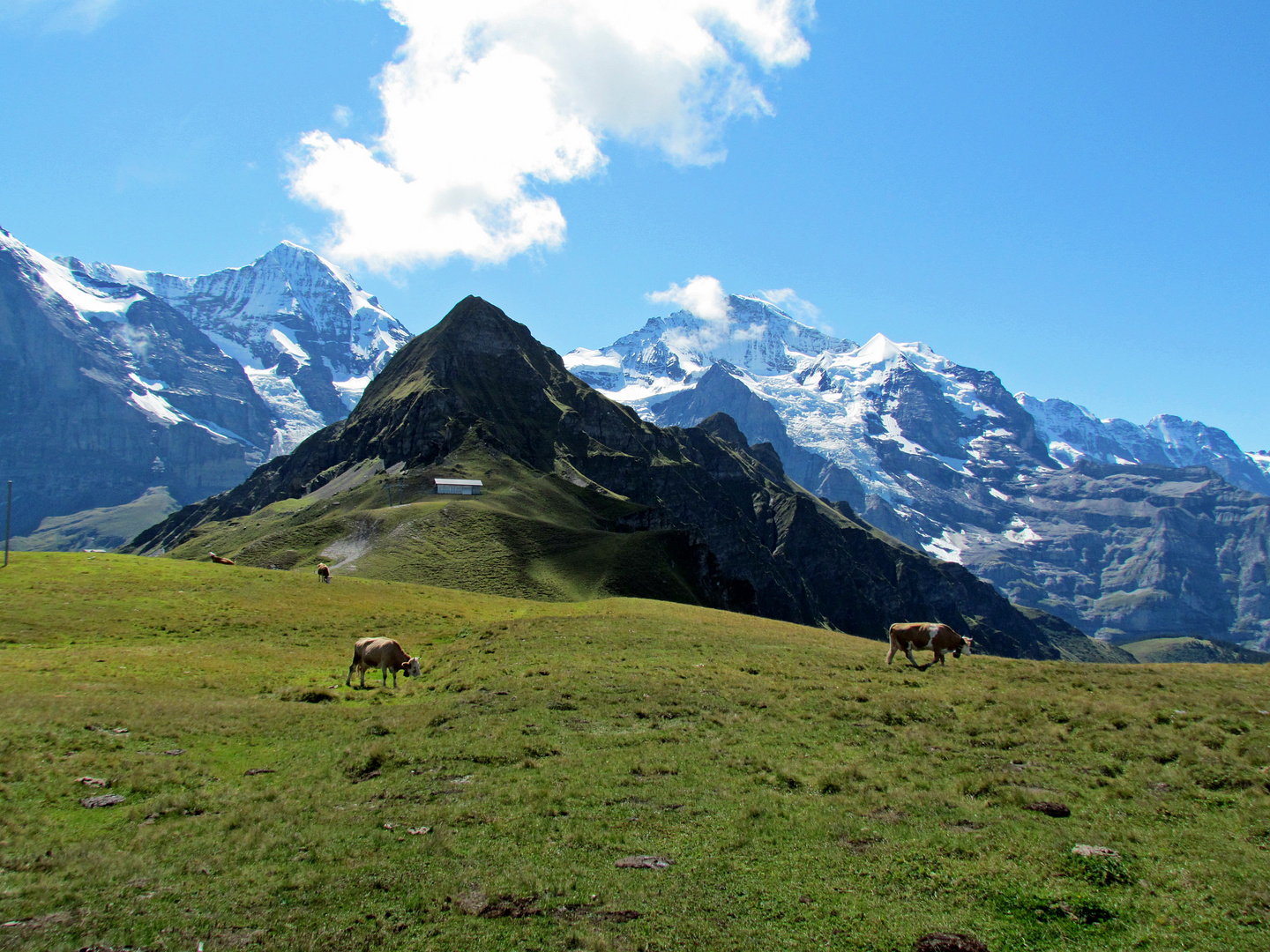 Blick vom Männlichen