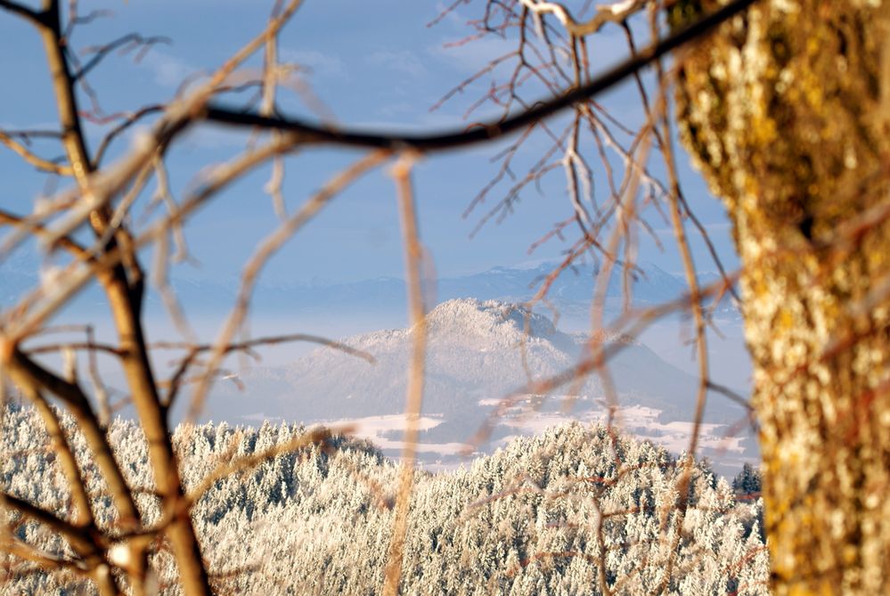 Blick vom Magdalensberg...