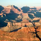 Blick vom Mather point, Grand Canyon South Rim, Arizona, USA