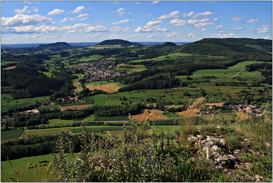 Blick vom Messelstein