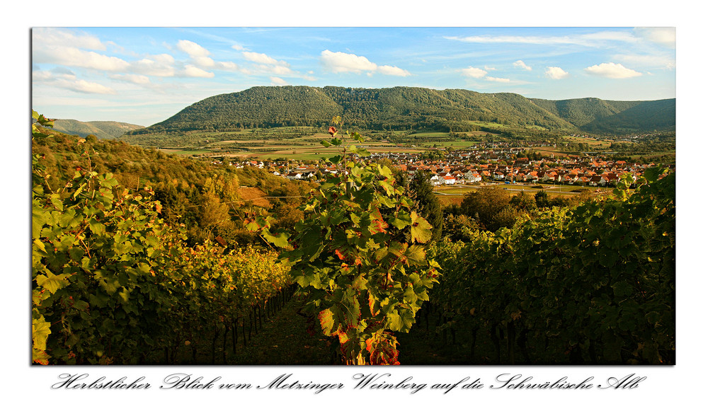 Blick vom Metzinger Weinberg auf die Schwäbische Alb