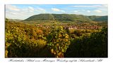 Blick vom Metzinger Weinberg auf die Schwäbische Alb von Thomas Leib 