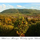 Blick vom Metzinger Weinberg auf die Schwäbische Alb