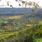 Blick vom Michaelsberg bei Cleebronn