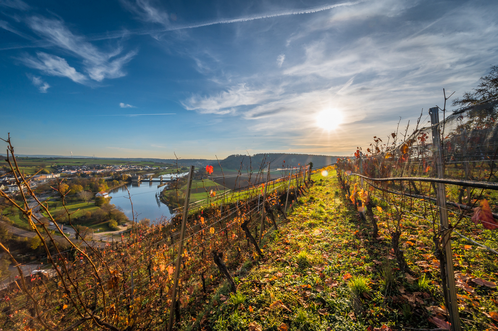 Blick vom Michaelsberg (Gundelsheim)