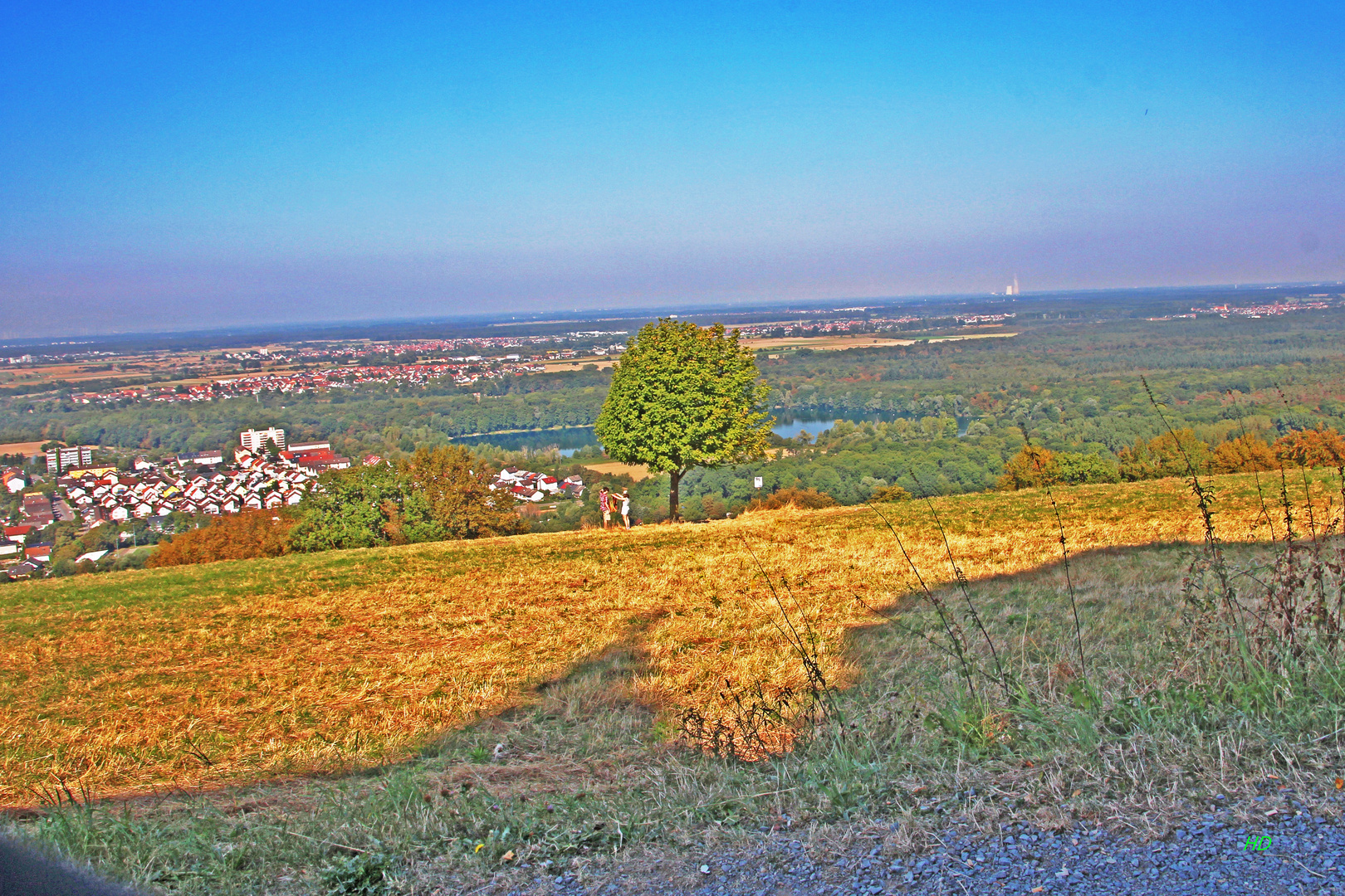  Blick vom Michaelsberg in die Rheinebene