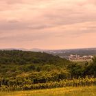 Blick vom Michaelsberg in die Rheinebene