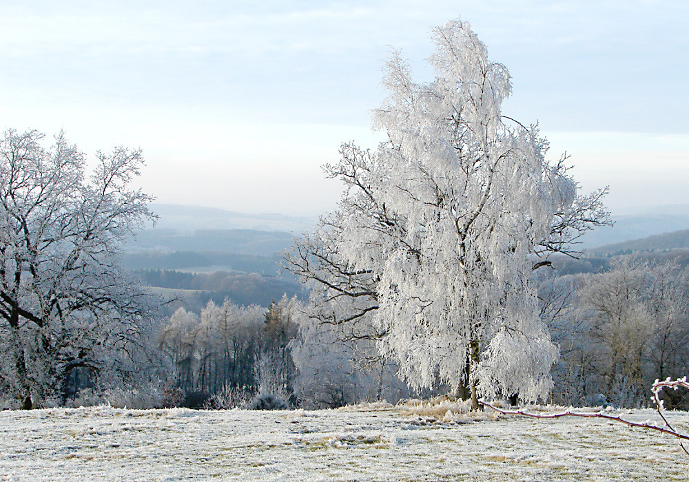 Blick vom Michelsberg