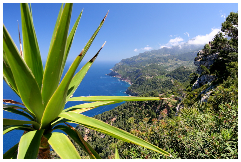 Blick vom Mirador Ricard Roca