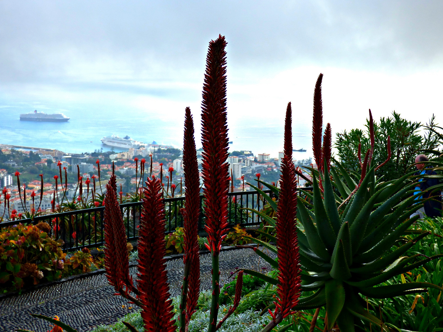 Blick vom Miradouro Pico dos Bercelos auf Funchal.....