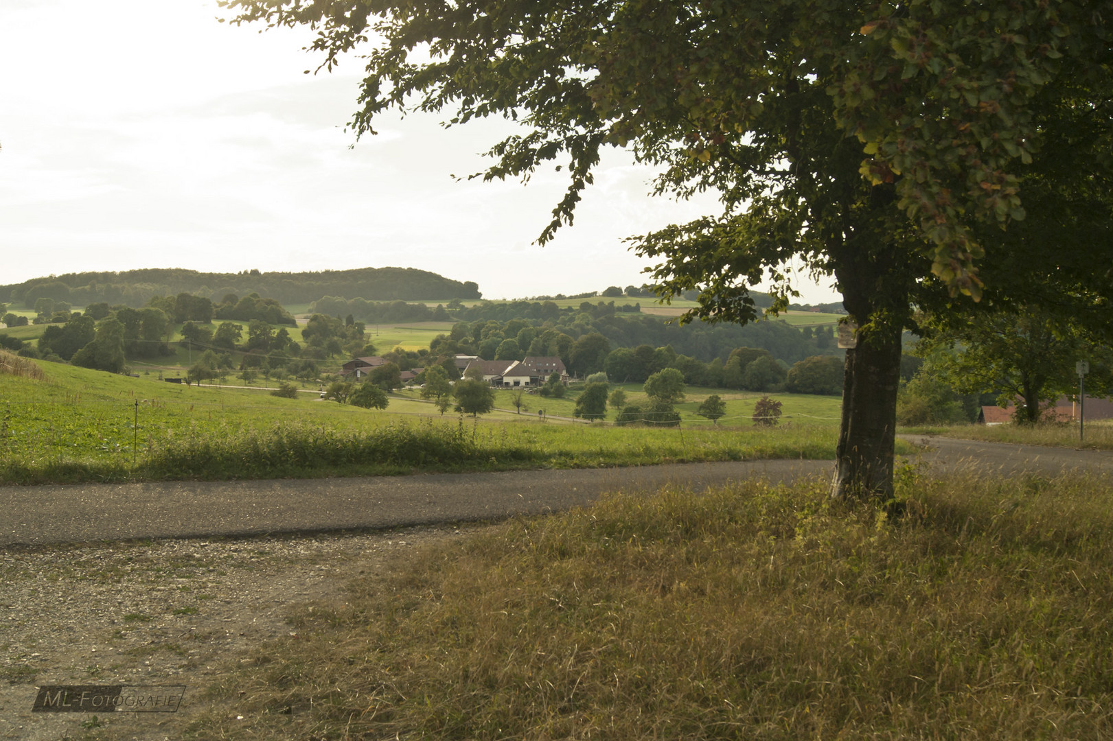 Blick vom Mönchberg