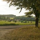 Blick vom Mönchberg