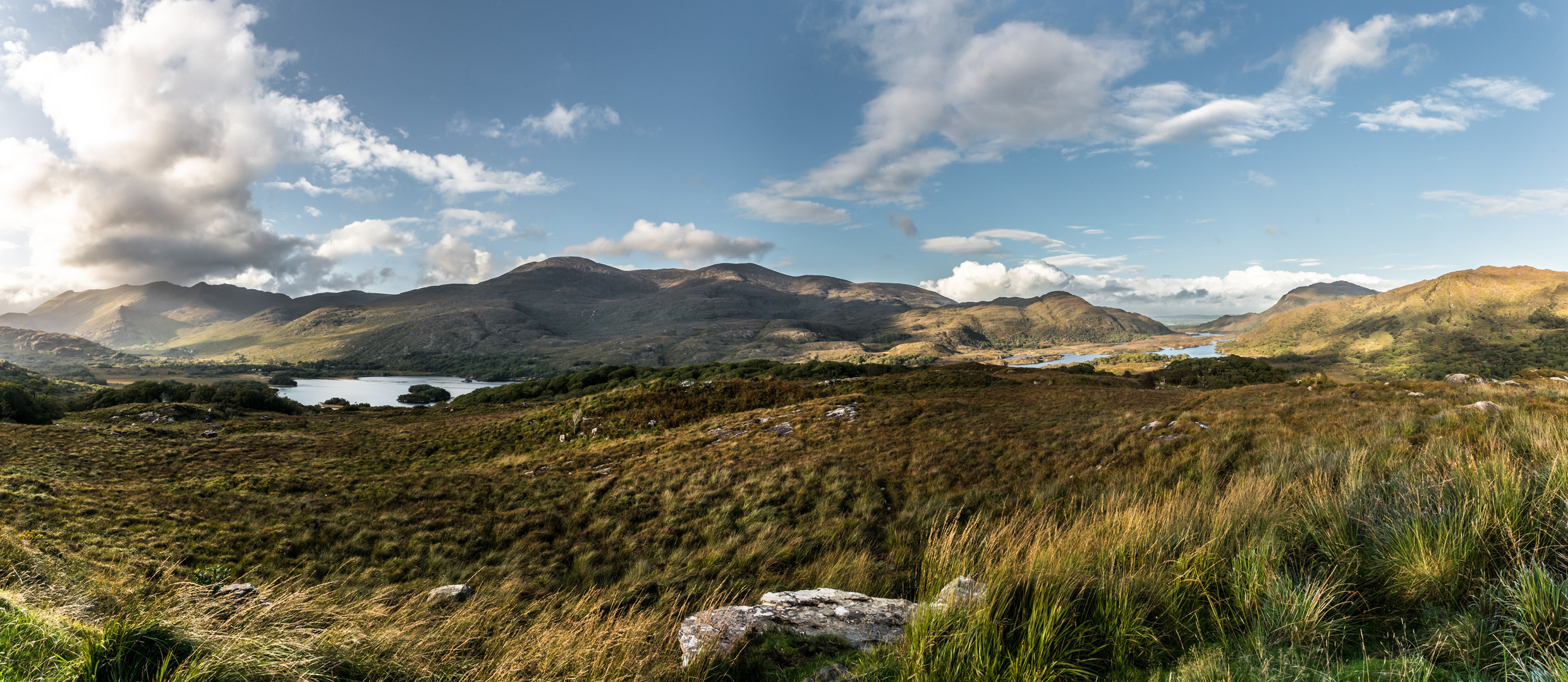 Blick vom Moll´s Gap über Killarney - Nationalpark