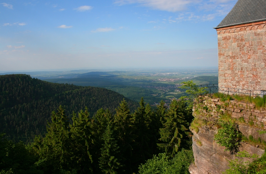 Blick vom Mont Sainte-Odile
