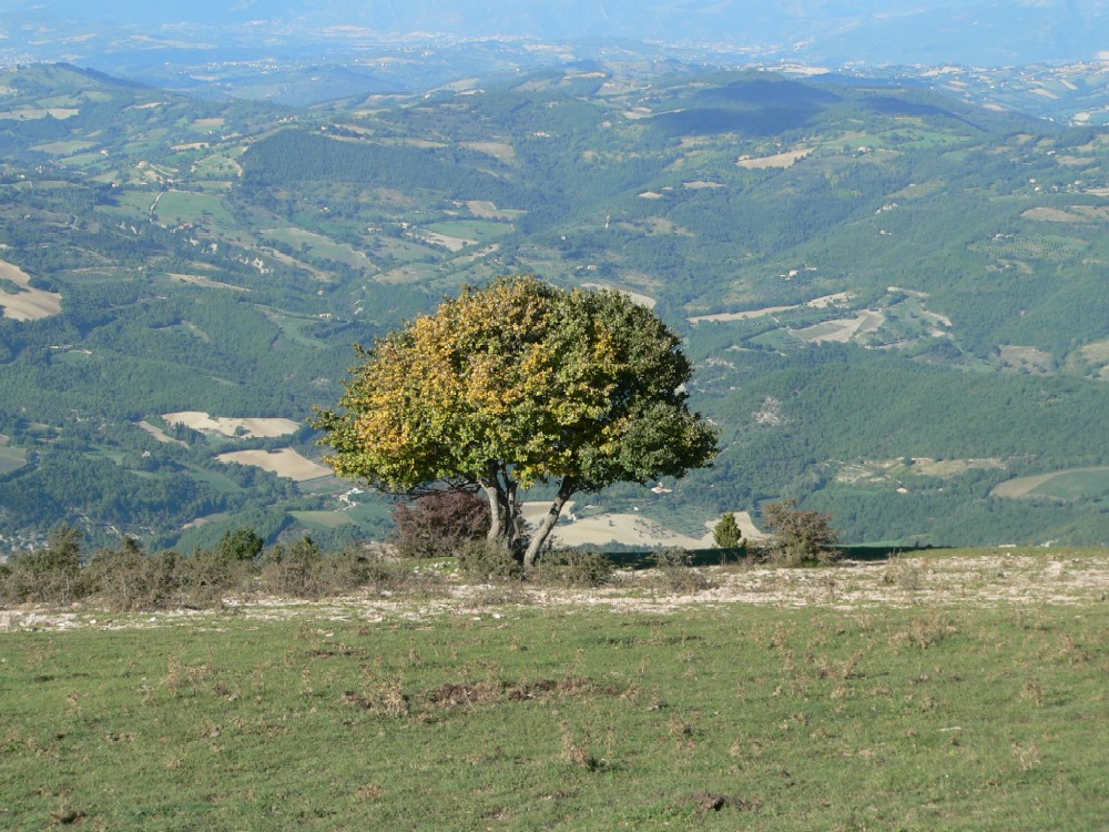 Blick vom Monte Subasio