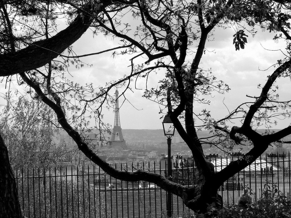 Blick vom Montmartre