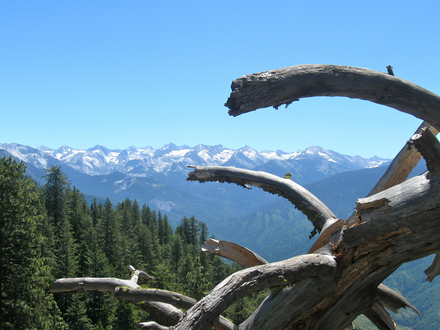 Blick vom Moro Rock auf die Dividing Range