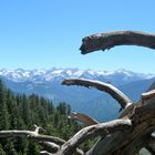 Blick vom Moro Rock auf die Dividing Range