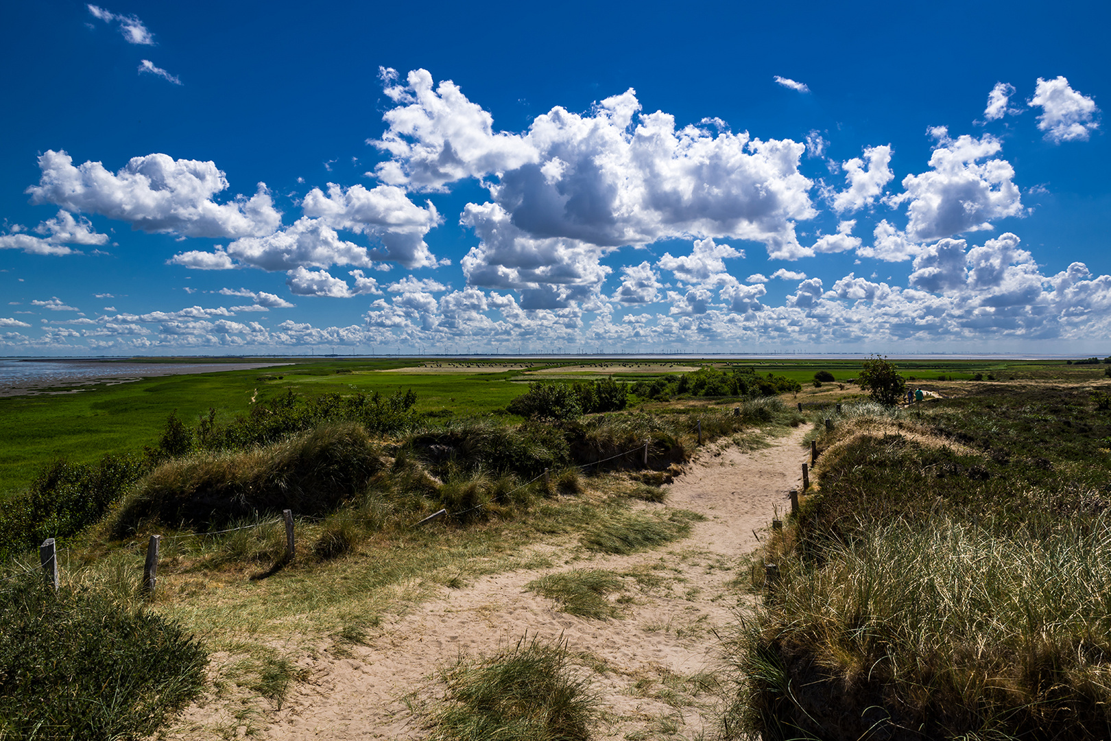 Blick vom Morsum Kliff in Richtung Osten