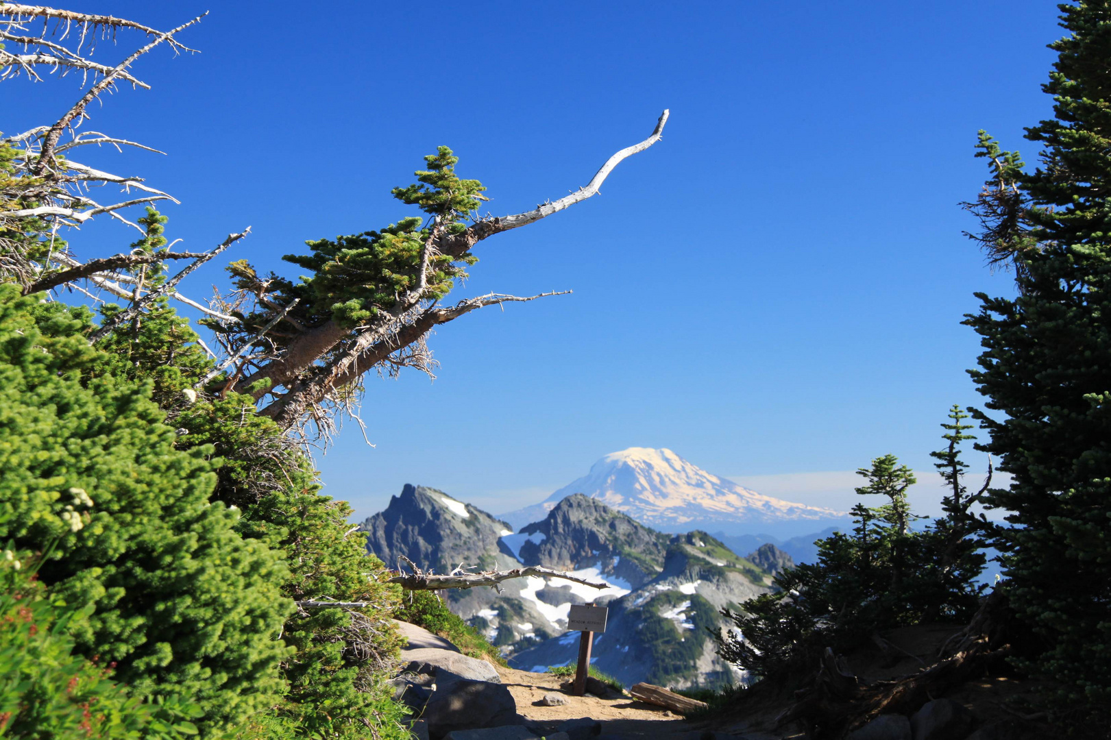 Blick vom Mt Rainier auf den Mt Adams