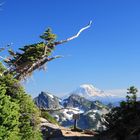 Blick vom Mt Rainier auf den Mt Adams