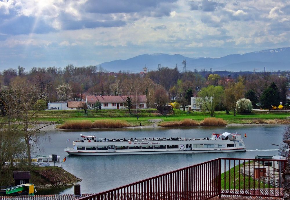 Blick vom Münsterberg auf den Rhein bei Breisach