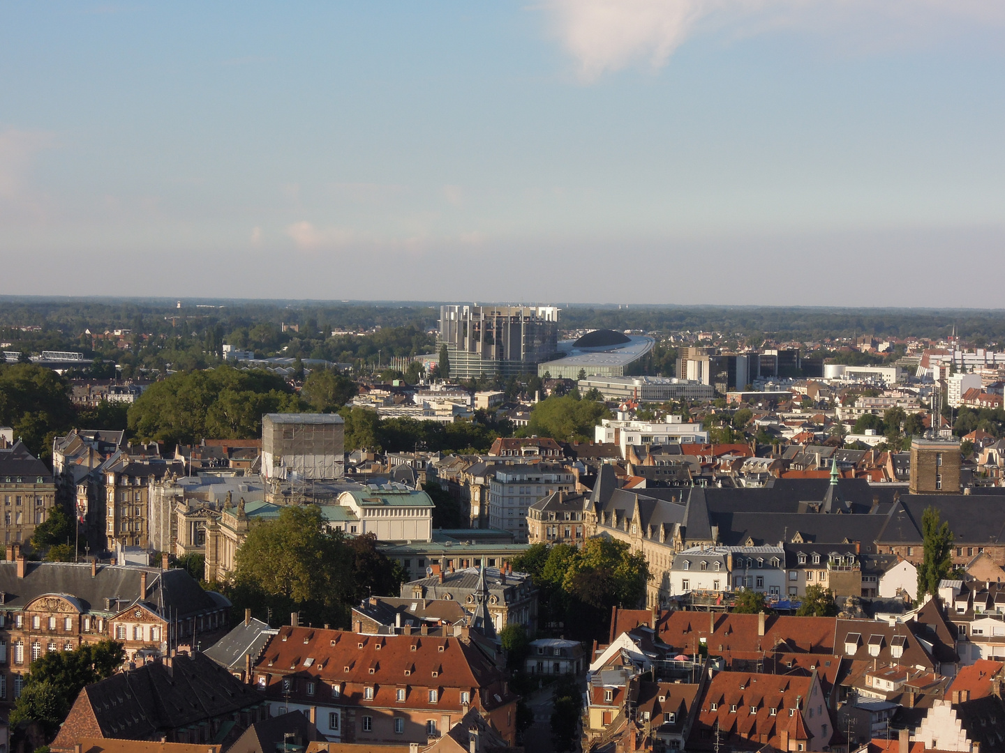 Blick vom Münter ...