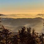 Blick vom Mummelsee