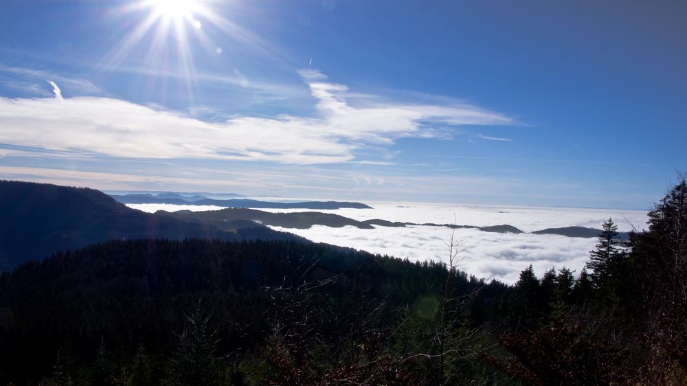 Blick vom Mummelsee in Richtung Rheinebene