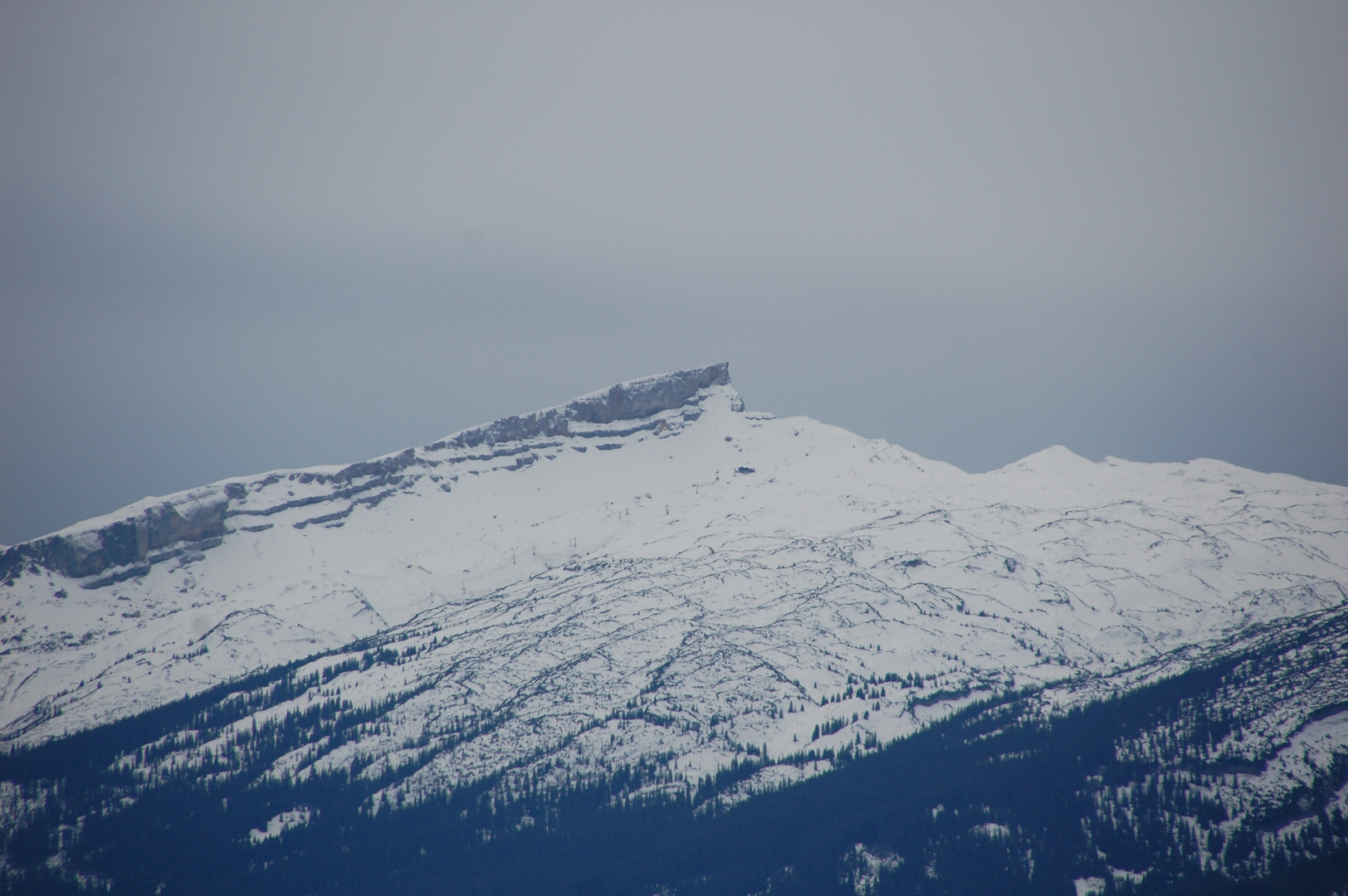 Blick vom Nebelhorn