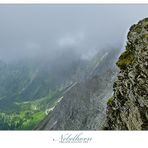 Blick vom Nebelhorn