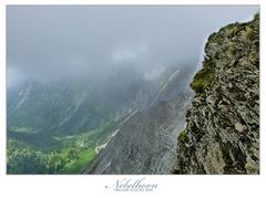 Blick vom Nebelhorn