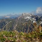 Blick vom Nebelhorn