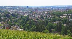 Blick vom Neroberg