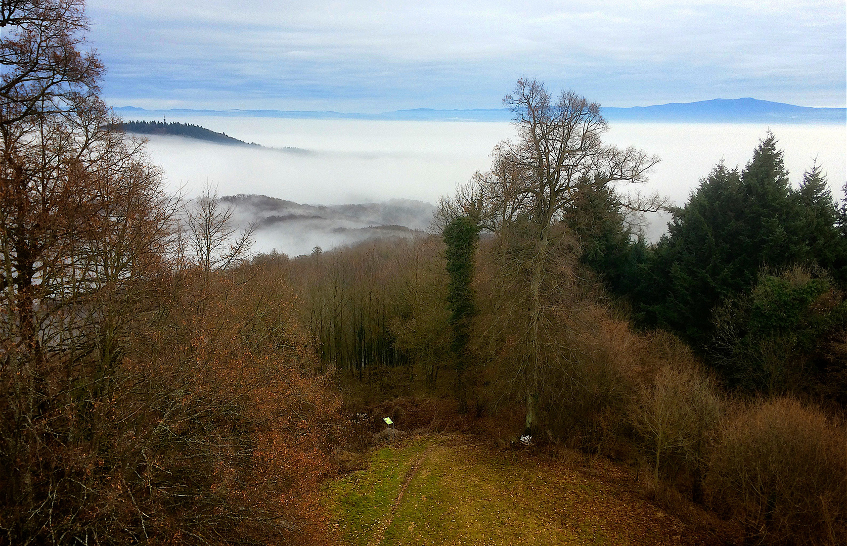 Blick vom Neunlindenturm